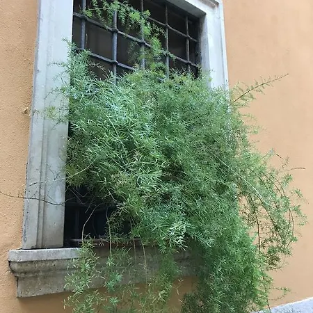 Sottoriva 19